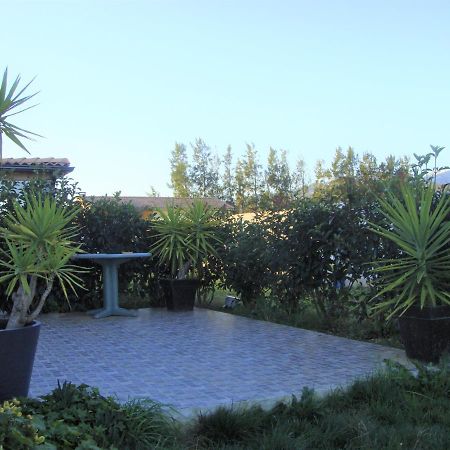 Cavone 2 Apartment Castellare-di-Casinca Екстериор снимка