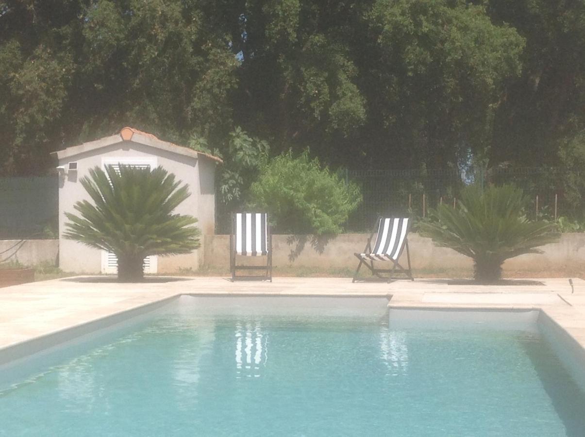 Cavone 2 Apartment Castellare-di-Casinca Екстериор снимка